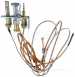 Falcon 535710070 Pilot Assembly C-w Ignitor