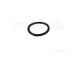 Glow Worm S444074 Sensing Pipe Assembly