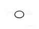 Glowworm Glow Worm 801672 Oring