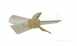 Worcester 87161421390 Sensing Electrode 15cbi