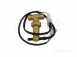 Ferroli 39800120 1/2inch Flow Switch Assembly