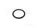 Biasi Bi1011107 Oring
