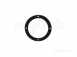 Biasi Bi1016104 Flue Pipe Gasket