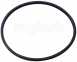 Biasi Bi1172112 Gasket-pump Rear