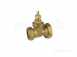 28mm X 1 1/2 Inch Pump Gate Valve