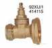 Center Brass Pump Gate Valve 22 X 1.1/2