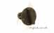 Baxi 082180 Control Knob