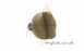 Baxi 234637 Control Knob
