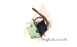 Potterton 25009302 Thermostat Cl6p0158 Obs