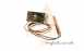 Potterton 26009018 Tstat K36p1328
