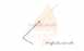 Bosch Riello 3005446 Probe 87161106420