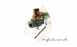 Rangemaster Flavel A084211 Ffd And Solenoid