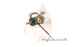 Cannon Merloni C00154810 T-stat Assembly