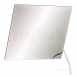 Delabie Adjustable Mirror 600 X 500mm With White Nylon Handle