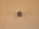 Baxi 5107345 Control Knob