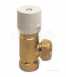 Robertshaw 4G4-941-300 GAS VALVE 1/2 inch 7000BER