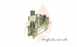 Clesse 001820a Cylinder Regulator Butane