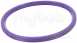Viton Sealing Ring-125mm 801.fpm.125