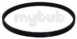 Sebo 5379 Belt Primary-toothed 4