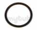 Gias Hoover 09009960 Pump Body Seal