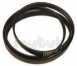 Zanussi 132353100-2 Belt Polyvee 1200j6