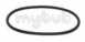 Cannon Hotpoint 1800291 Pump Gasket