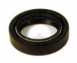 Indesit C00033019 Drum Brng Oil Seal