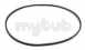 Cannon Electra C00042799 Belt Awm1100a