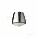 Delabie Ceiling Mtd Shower Head F1/2 Inch Chromed Brass 5 Rings