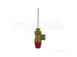 Vaillant 0020009866 Temp And Pres Relief Valve