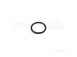 Vaillant 981163 Packing Ring Pk10