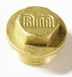 Midbras 1 Inch Flanged Brass Plug