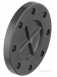 Avf Abs Fcn Blank Flange Drilled Np16 1.1/2