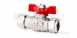 Inta Ball Valve With Check 28mm Red Tee Bbvck209528r