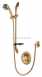 Aqualisa Varispray 99.40.04 Adjustable Head Gold Plated