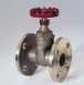 Crane D161 Bstf Bronze Gate Valve 50