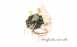 Potterton Heatrae 95612667 Tstat