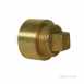 Delcop Waste Dc816s Cleanout Fitting 42