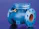 Hnh 653e Cast Iron Bste Check Valve 250