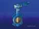 Hnh 950wg Ci Butterfly Valve 250mm