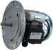 Bosch Riello 3003771 Motor 87161105810