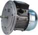 Bosch Riello 3003773 Motor 87161105820