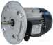 Bosch Riello 3003966 Motor 87161106220