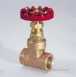 Crane D159 Bsp Bronze Gate Valve Pn32 8