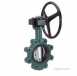 Crane Dm925g Double Reg B/fly Valve 100