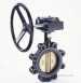 Crane F625 G/op Lug Butterfly Valve 600