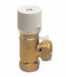 Altecnic 3/4 Inch Auto Bi-pass Valve