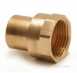 Endex N7 Female Adaptor 42x1.1/2
