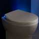 Led Sft Cls Quick Release Thermoset Seat