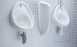Lecico Ursep Urinal Divider